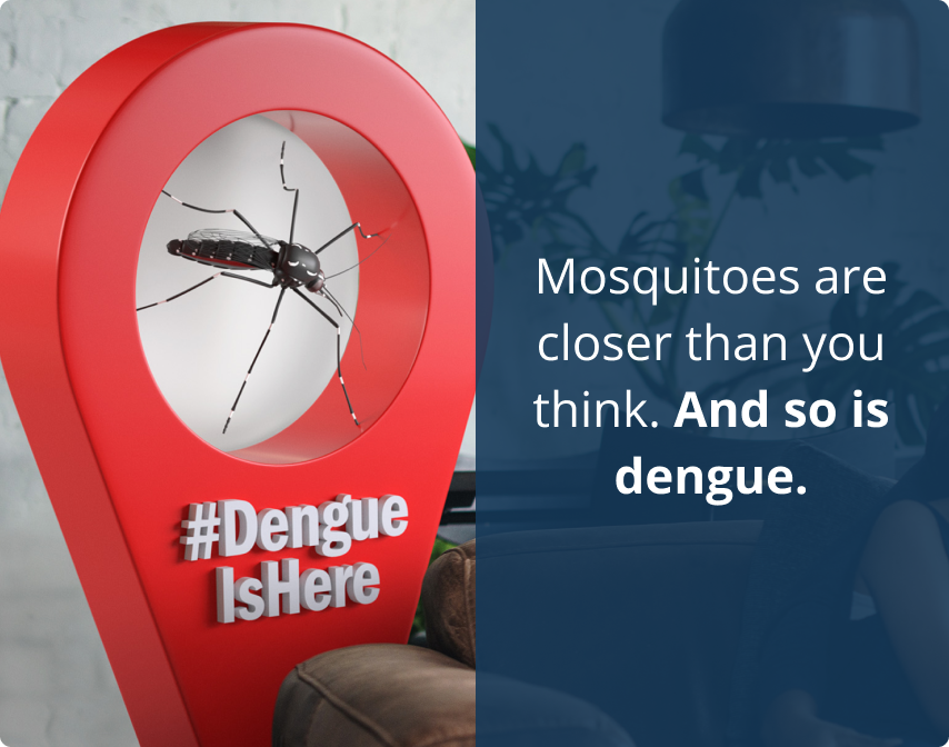 Severe Dengue: The Warning Signs | Know Dengue